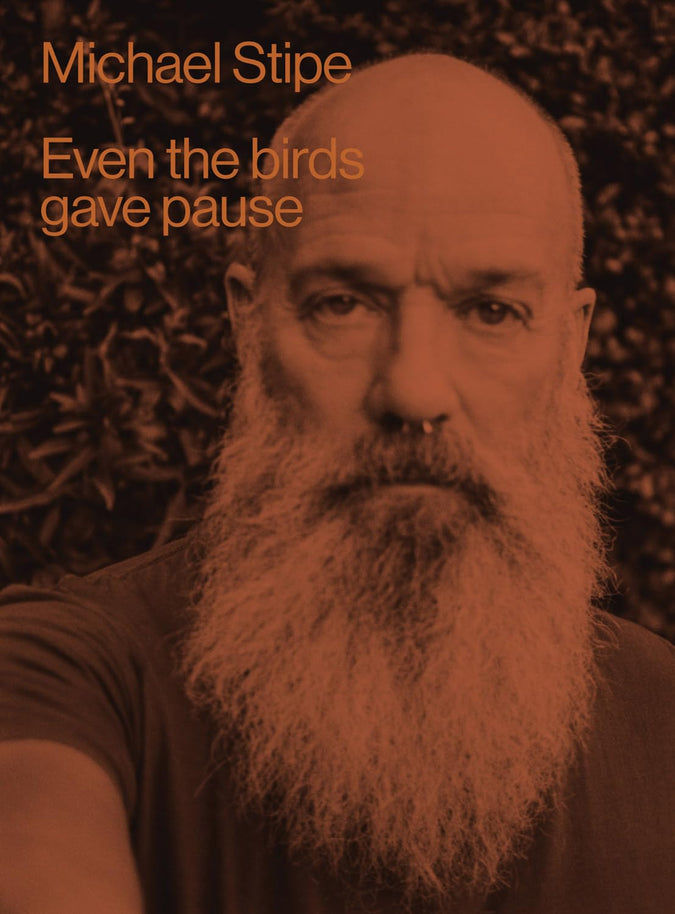 Michael Stipe: Even the Birds Gave Pause