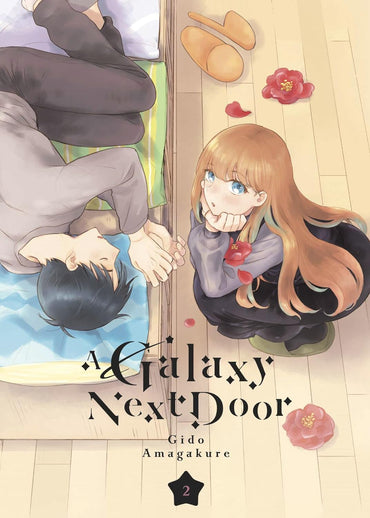 A Galaxy Next Door Vol. 2