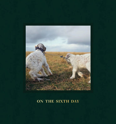 On the Sixth Day - Alessandra Sanguinetti