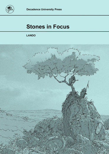 Stones in Focus