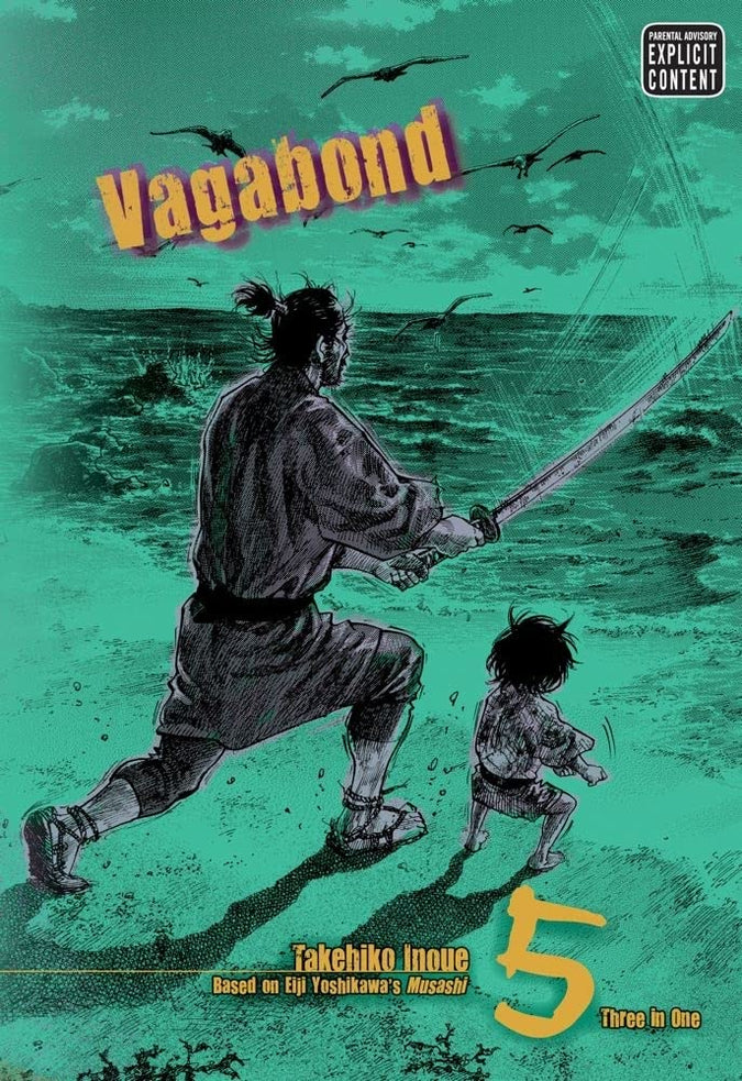 Vagabond, Vol. 5