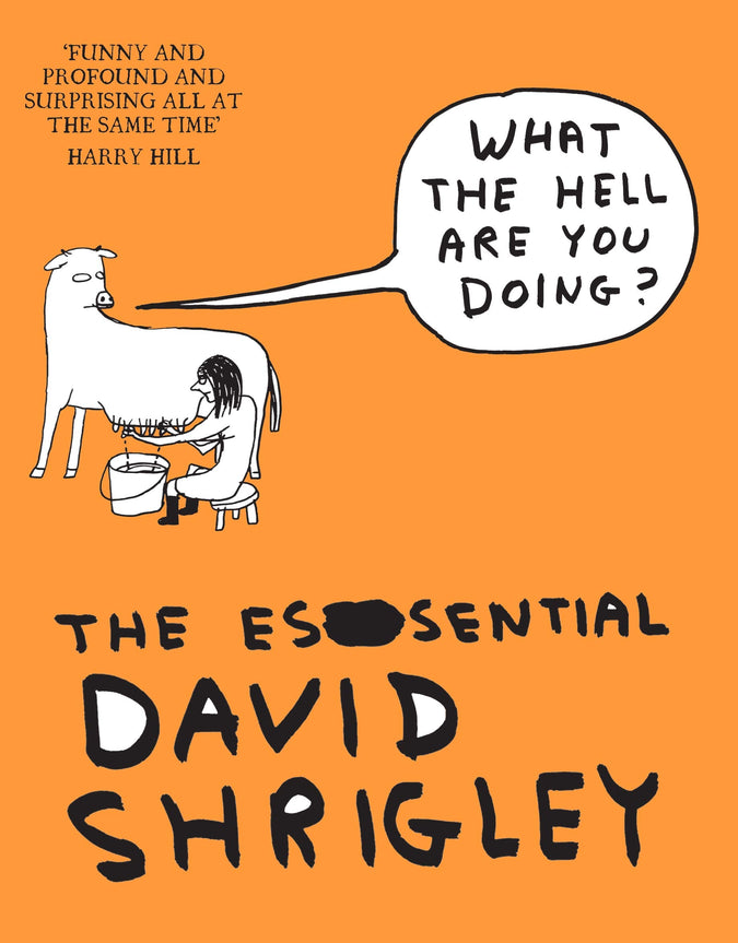 What The Hell Are You Doing? The Essential David Shrigley