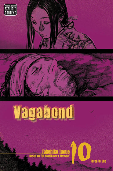 Vagabond, Vol. 10