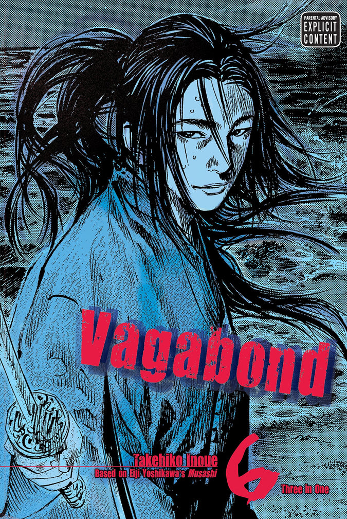 Vagabond, Vol. 6